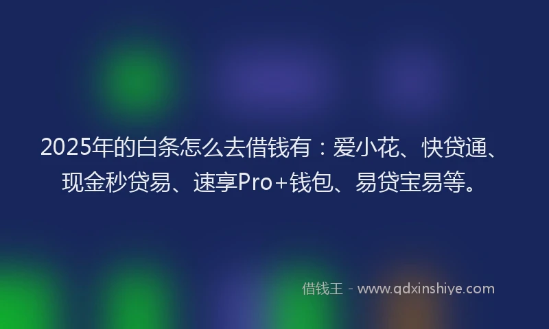2025年的白条怎么去借钱有：爱小花、快贷通、现金秒贷易、速享Pro+钱包、易贷宝易等。