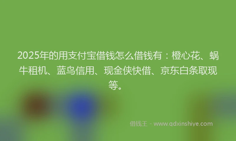 2025年的用支付宝借钱怎么借钱有:橙心花、蜗牛租机、蓝鸟信用、现金侠快借、京东白条取现等。