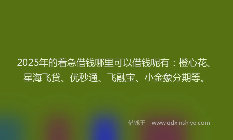2025年的着急借钱哪里可以借钱呢有：橙心花、星海飞贷、优秒通、飞融宝、小金象分期等。