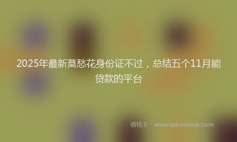 2025年最新莫愁花身份证不过，总结五个11月能贷款的平台
