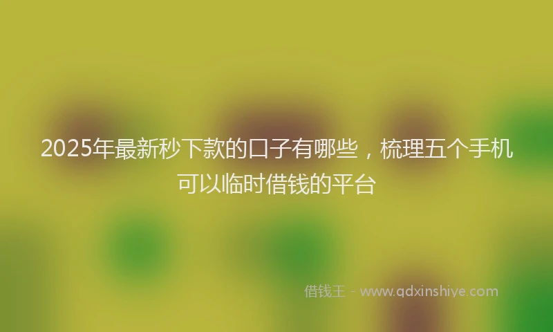 2025年最新秒下款的口子有哪些，梳理五个手机可以临时借钱的平台