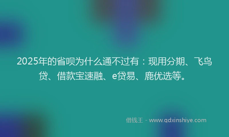 2025年的省呗为什么通不过有：现用分期、飞鸟贷、借款宝速融、e贷易、鹿优选等。