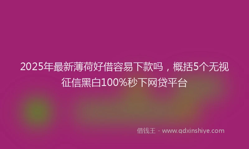 2025年最新薄荷好借容易下款吗，概括5个无视征信黑白100%秒下网贷平台