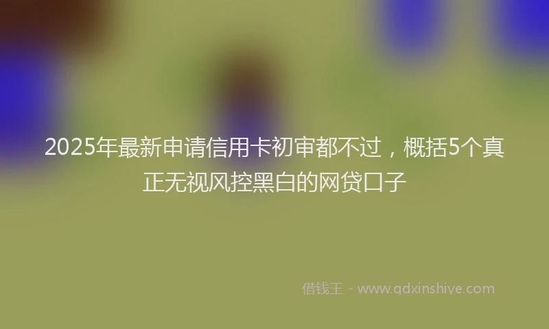 2025年最新申请信用卡初审都不过，概括5个真正无视风控黑白的网贷口子