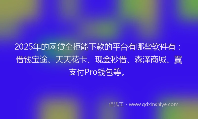 2025年的网贷全拒能下款的平台有哪些软件有：借钱宝途、天天花卡、现金秒借、森泽商城、翼支付Pro钱包等。