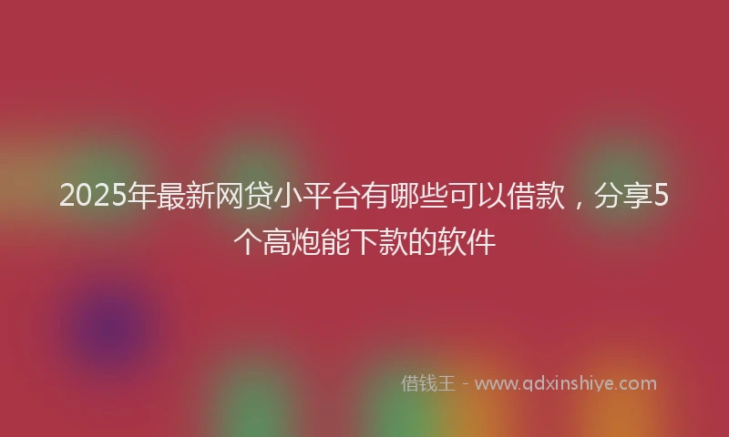 2025年最新网贷小平台有哪些可以借款，分享5个高炮能下款的软件
