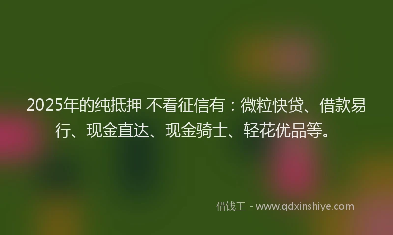 2025年的纯抵押 不看征信有：微粒快贷、借款易行、现金直达、现金骑士、轻花优品等。