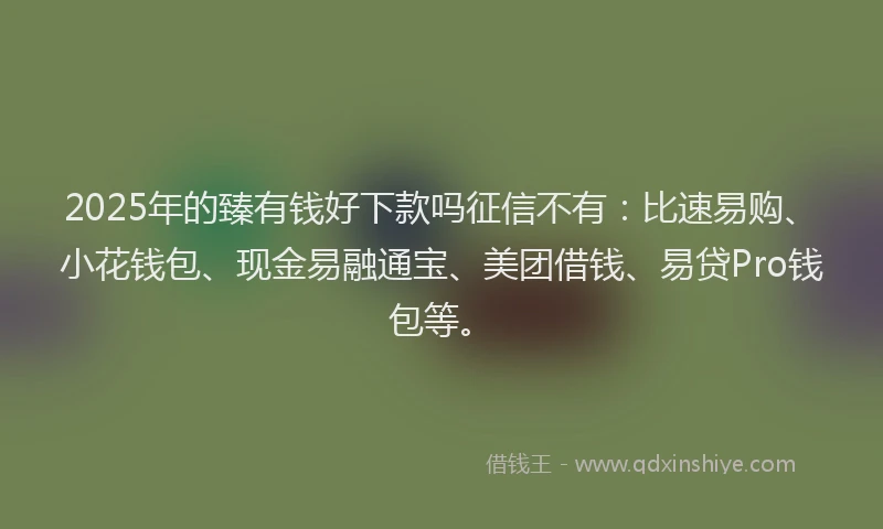 2025年的臻有钱好下款吗征信不有：比速易购、小花钱包、现金易融通宝、美团借钱、易贷Pro钱包等。