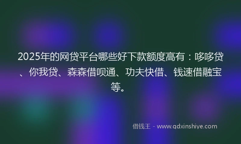 2025年的网贷平台哪些好下款额度高有：哆哆贷、你我贷、森森借呗通、功夫快借、钱速借融宝等。