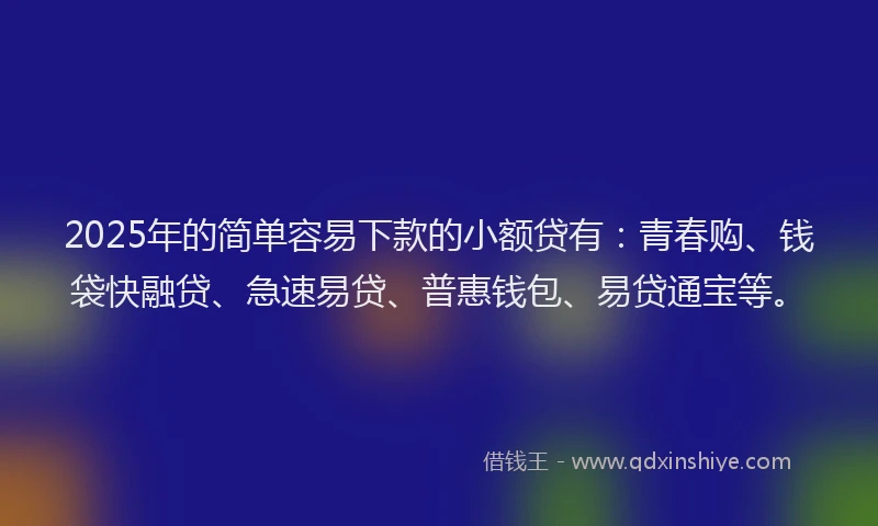 2025年的简单容易下款的小额贷有：青春购、钱袋快融贷、急速易贷、普惠钱包、易贷通宝等。