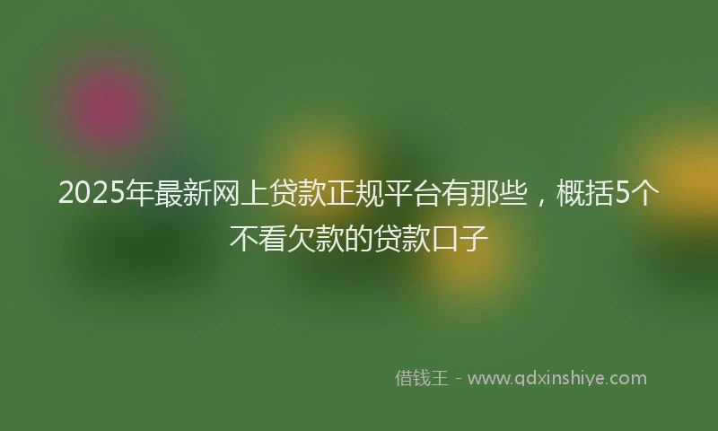 2025年最新网上贷款正规平台有那些，概括5个不看欠款的贷款口子