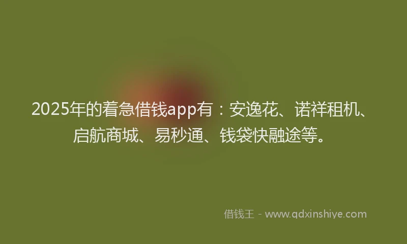 2025年的着急借钱app有：安逸花、诺祥租机、启航商城、易秒通、钱袋快融途等。
