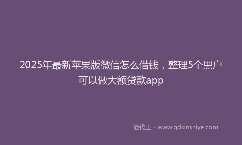 2025年最新苹果版微信怎么借钱，整理5个黑户可以做大额贷款app