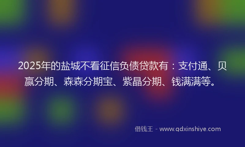 2025年的盐城不看征信负债贷款有：支付通、贝赢分期、森森分期宝、紫晶分期、钱满满等。