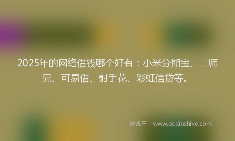 2025年的网络借钱哪个好有：小米分期宝、二师兄、可易借、射手花、彩虹信贷等。