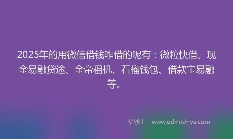 2025年的用微信借钱咋借的呢有：微粒快借、现金易融贷途、金帝租机、石榴钱包、借款宝易融等。