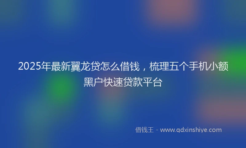 2025年最新翼龙贷怎么借钱，梳理五个手机小额黑户快速贷款平台
