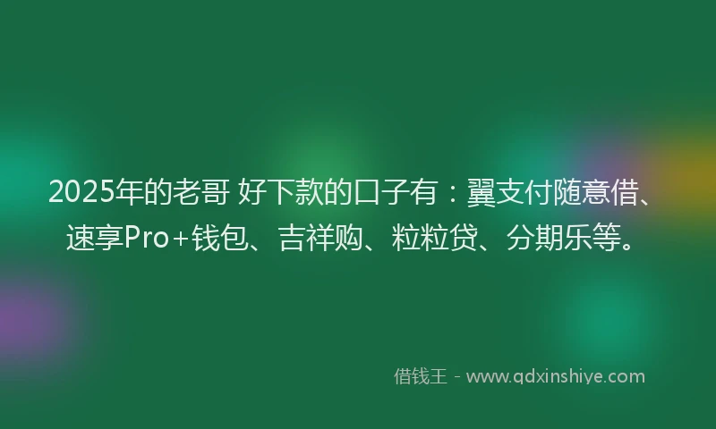 2025年的老哥 好下款的口子有：翼支付随意借、速享Pro+钱包、吉祥购、粒粒贷、分期乐等。