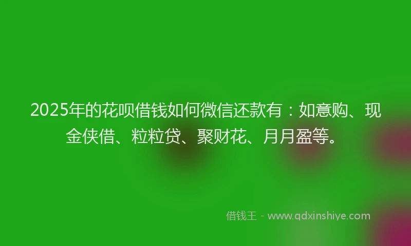 2025年的花呗借钱如何微信还款有：如意购、现金侠借、粒粒贷、聚财花、月月盈等。