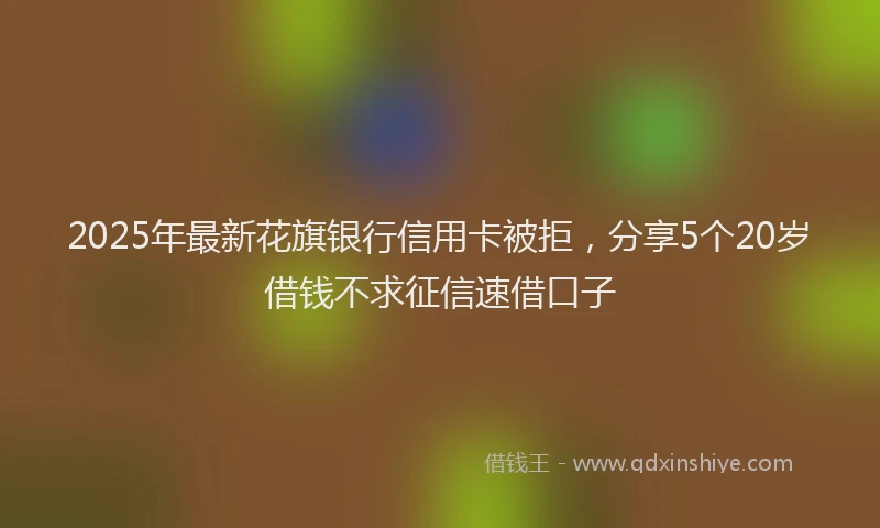 2025年最新花旗银行信用卡被拒，分享5个20岁借钱不求征信速借口子