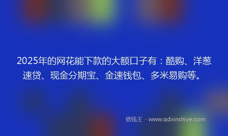2025年的网花能下款的大额口子有:酷购、洋葱速贷、现金分期宝、金速钱包、多米易购等。