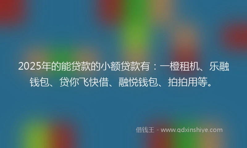 2025年的能贷款的小额贷款有：一橙租机、乐融钱包、贷你飞快借、融悦钱包、拍拍用等。