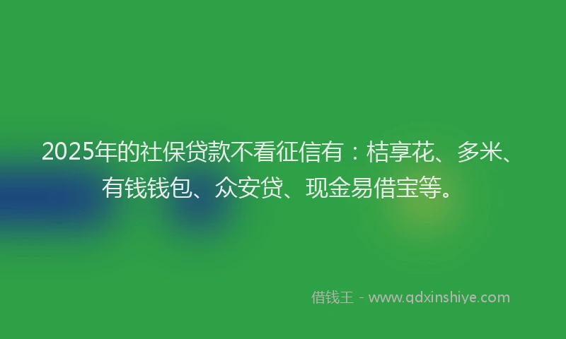 2025年的社保贷款不看征信有：桔享花、多米、有钱钱包、众安贷、现金易借宝等。