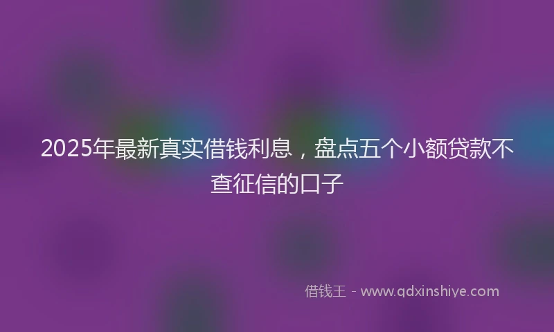 2025年最新真实借钱利息，盘点五个小额贷款不查征信的口子