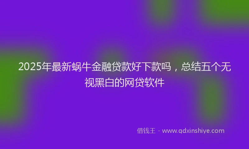 2025年最新蜗牛金融贷款好下款吗，总结五个无视黑白的网贷软件