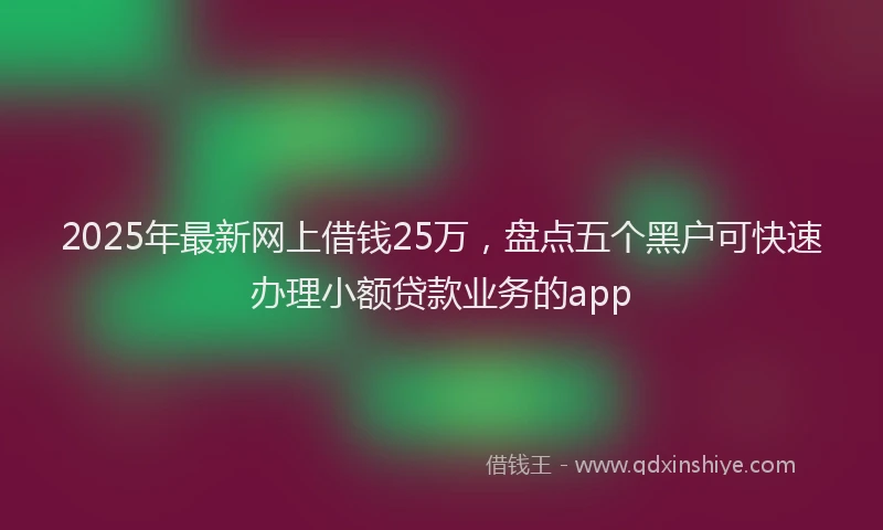 2025年最新网上借钱25万，盘点五个黑户可快速办理小额贷款业务的app