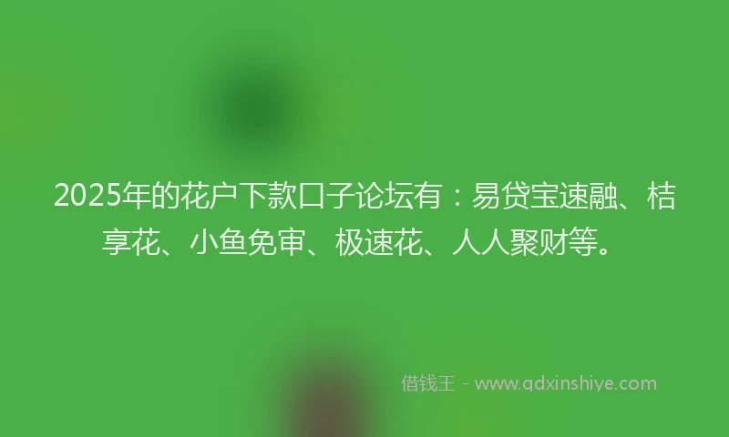 2025年的花户下款口子论坛有：易贷宝速融、桔享花、小鱼免审、极速花、人人聚财等。