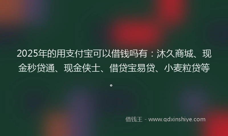 2025年的用支付宝可以借钱吗有：沐久商城、现金秒贷通、现金侠士、借贷宝易贷、小麦粒贷等。