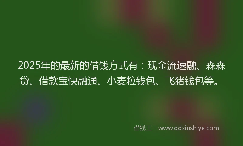 2025年的最新的借钱方式有：现金流速融、森森贷、借款宝快融通、小麦粒钱包、飞猪钱包等。