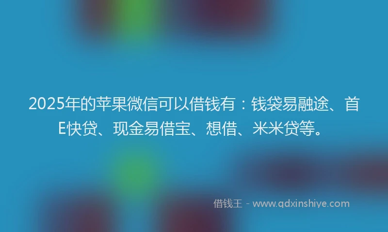 2025年的苹果微信可以借钱有：钱袋易融途、首E快贷、现金易借宝、想借、米米贷等。