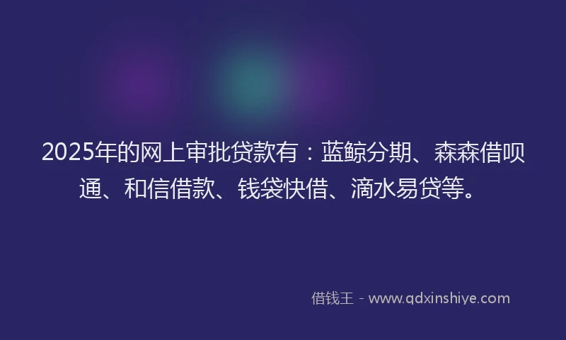 2025年的网上审批贷款有：蓝鲸分期、森森借呗通、和信借款、钱袋快借、滴水易贷等。