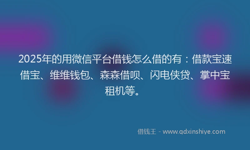 2025年的用微信平台借钱怎么借的有：借款宝速借宝、维维钱包、森森借呗、闪电侠贷、掌中宝租机等。