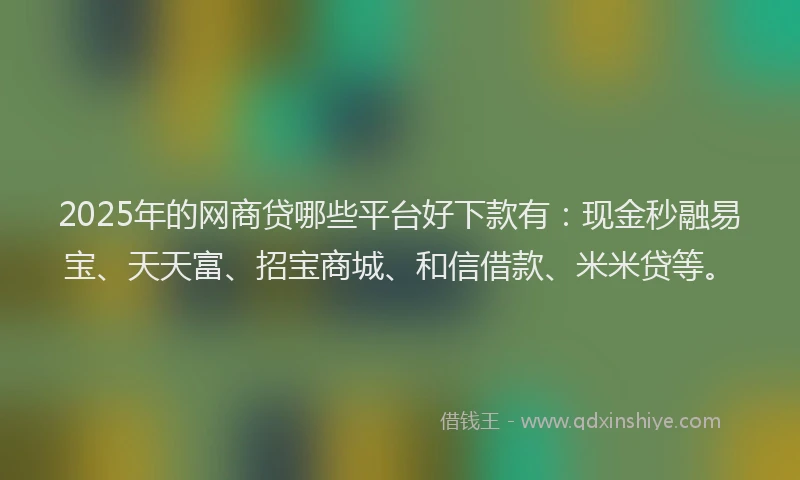 2025年的网商贷哪些平台好下款有:现金秒融易宝、天天富、招宝商城、和信借款、米米贷等。