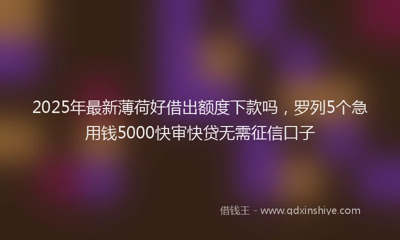 2025年最新薄荷好借出额度下款吗，罗列5个急用钱5000快审快贷无需征信口子