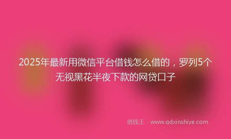 2025年最新用微信平台借钱怎么借的，罗列5个无视黑花半夜下款的网贷口子