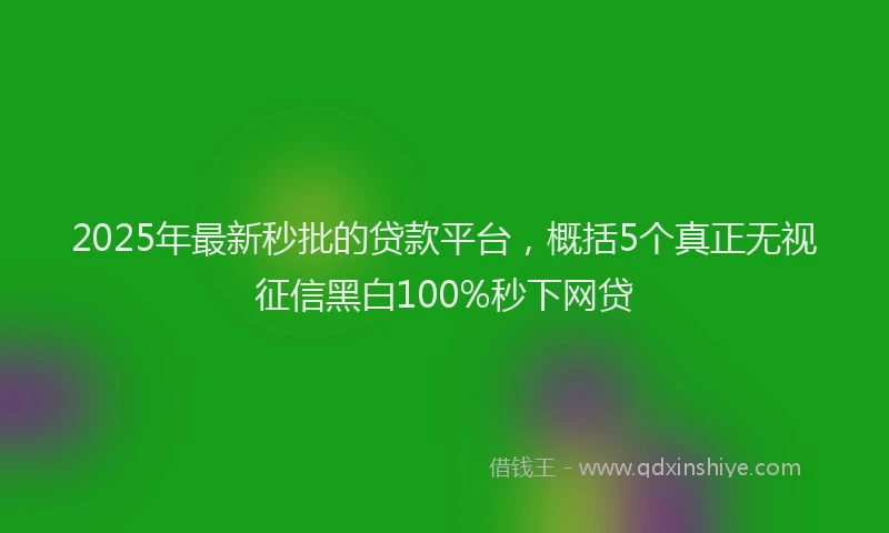 2025年最新秒批的贷款平台，概括5个真正无视征信黑白100%秒下网贷