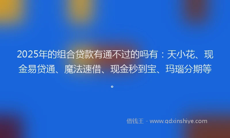 2025年的组合贷款有通不过的吗有：天小花、现金易贷通、魔法速借、现金秒到宝、玛瑙分期等。