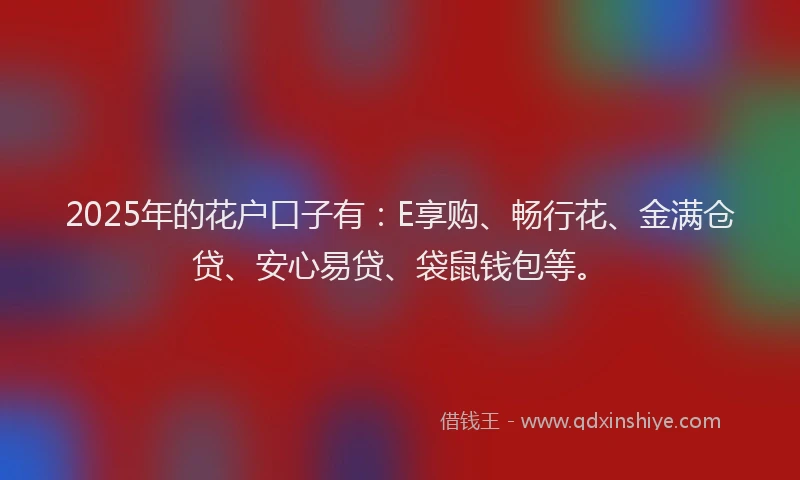 2025年的花户口子有：E享购、畅行花、金满仓贷、安心易贷、袋鼠钱包等。