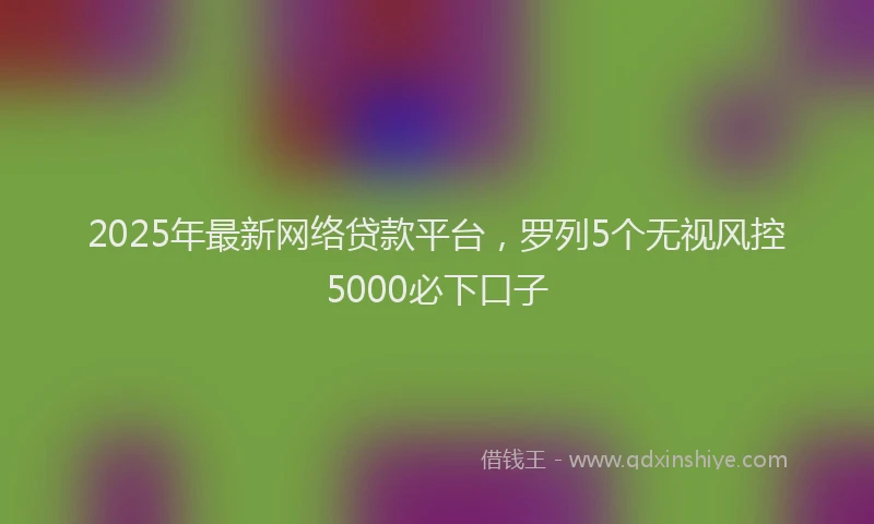 2025年最新网络贷款平台，罗列5个无视风控5000必下口子
