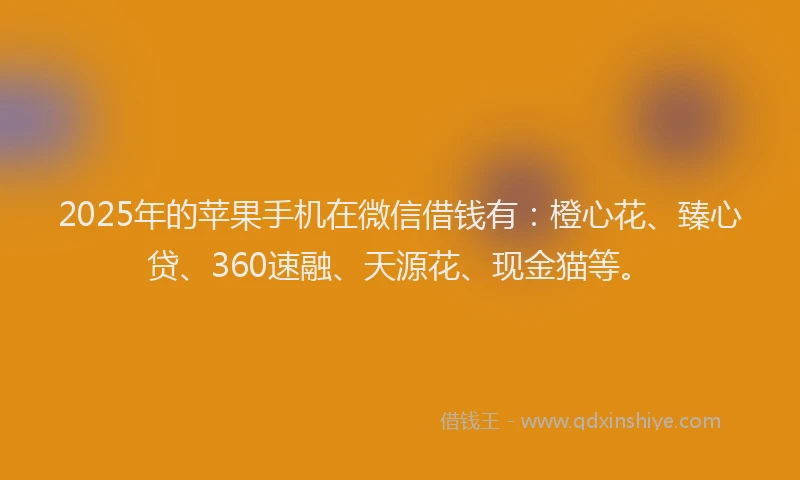 2025年的苹果手机在微信借钱有：橙心花、臻心贷、360速融、天源花、现金猫等。