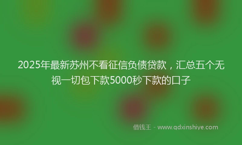 2025年最新苏州不看征信负债贷款，汇总五个无视一切包下款5000秒下款的口子