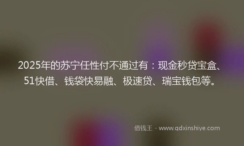 2025年的苏宁任性付不通过有：现金秒贷宝盒、51快借、钱袋快易融、极速贷、瑞宝钱包等。