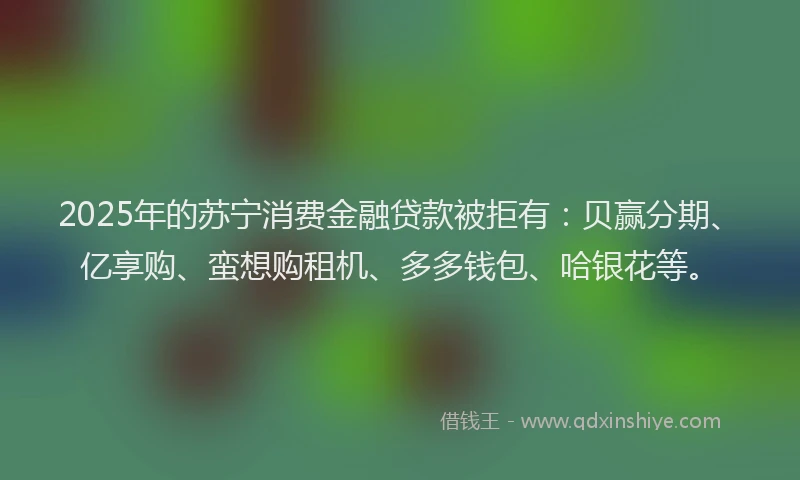 2025年的苏宁消费金融贷款被拒有：贝赢分期、亿享购、蛮想购租机、多多钱包、哈银花等。