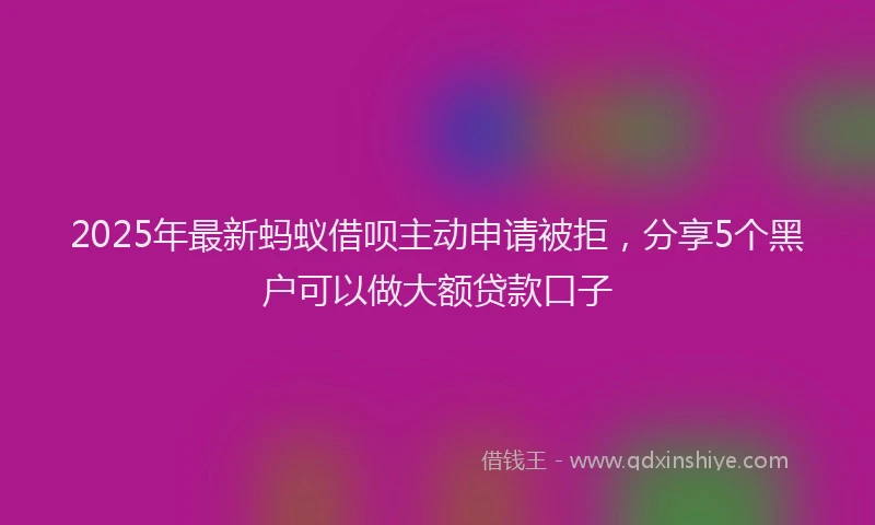 2025年最新蚂蚁借呗主动申请被拒，分享5个黑户可以做大额贷款口子
