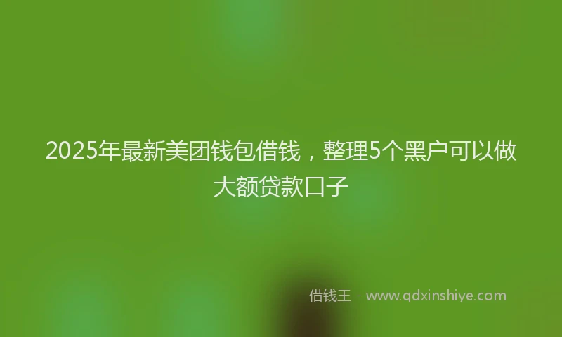 2025年最新美团钱包借钱，整理5个黑户可以做大额贷款口子