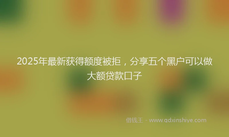 2025年最新获得额度被拒，分享五个黑户可以做大额贷款口子